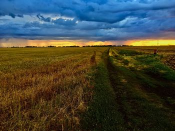 Scenic view of field against sky during sunset