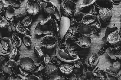 Full frame shot of dried eggs