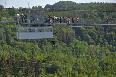 Group of people on plants against trees