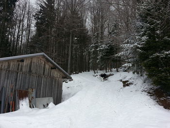 Scenic view of snow covered landscape