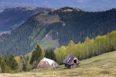 Panoramic view of trees and houses against sky