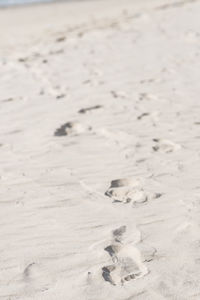 Close-up of sand at beach