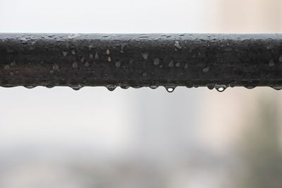 Close-up of wet metal during rainy season