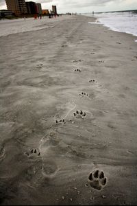 View of beach