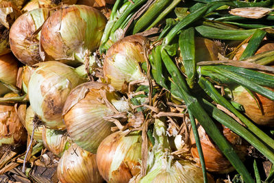 Full frame shot of vegetables