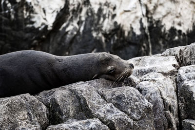 Traveling in baja california peninsula in mexico