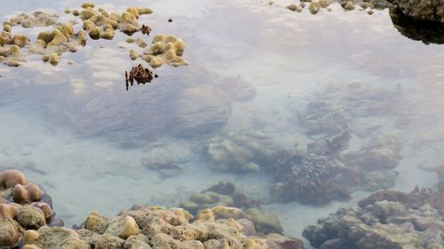 High angle view of rocks in sea