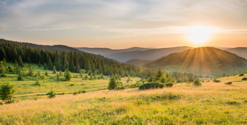 Scenic view of field against sky during sunset
