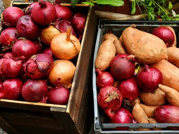 High angle view of vegetables in the box on the market