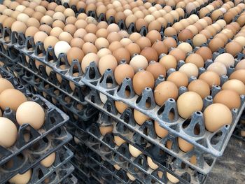 High angle view of eggs in container at morning local market