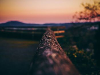 Close-up of insect against sky
