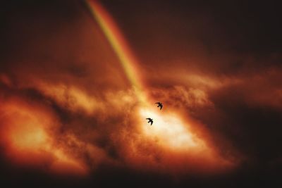 Low angle view of silhouette birds flying against sky