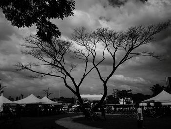 Silhouette tree by street and buildings against sky