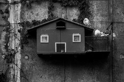 Close-up of abandoned building