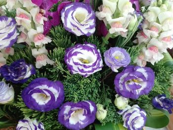 High angle view of various flowers blooming outdoors