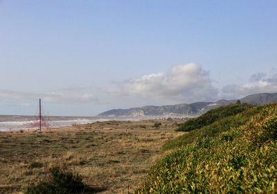 Scenic view of field against sky