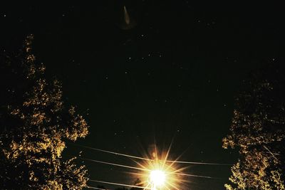 Low angle view of illuminated tree against sky at night