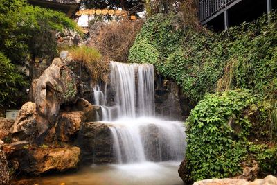 Scenic view of waterfall