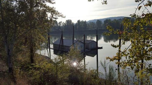 Reflection of trees in calm lake