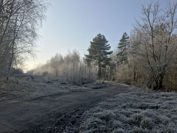 Bare trees on snow covered landscape against clear sky