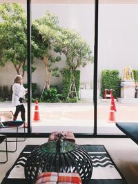 Woman by potted plants on table in restaurant