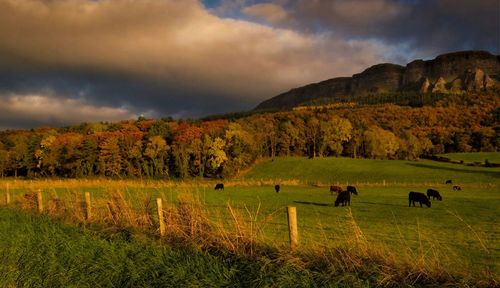 Scenic view of landscape against dramatic sky