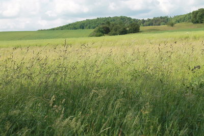 Scenic view of field against cloudy sky