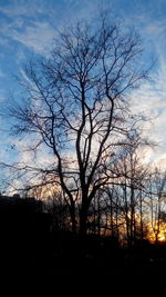 Silhouette of bare trees against sky at sunset