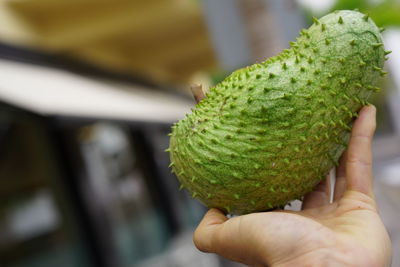 Close-up of hand holding fruit