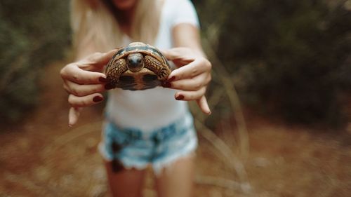 Close-up of hand holding crab