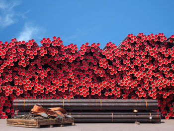 Red flowering plants against trees and blue sky