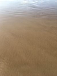 Close-up of sand on beach