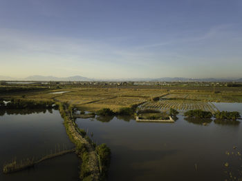 Scenic view of agricultural field against sky