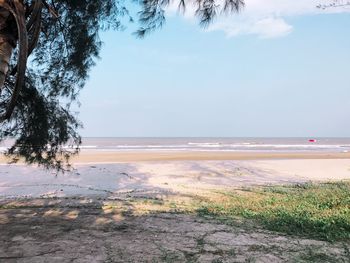 Scenic view of beach against sky