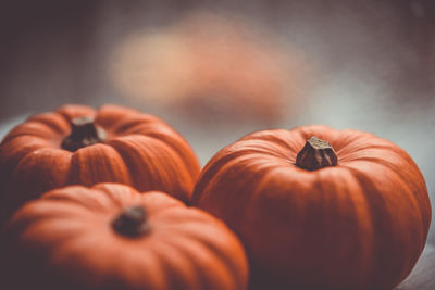 Three little pumpkins on a wooden table with beautiful blurred colorful background