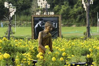 Statue against yellow flowers