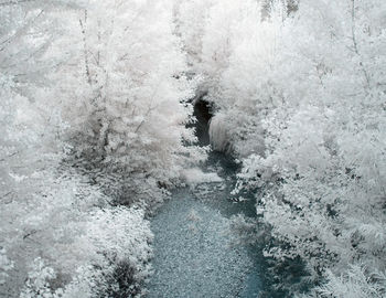 High angle view of snow covered land