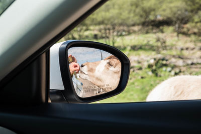 Reflection of man in side-view mirror