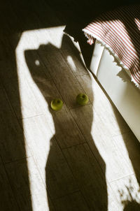 High angle view of shadow on floor