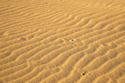 Full frame shot of sand dune