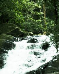 River flowing through rocks in forest