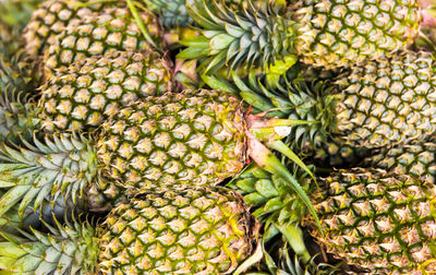 Pile of tropical fruits pineapples at market. can be used as food background
