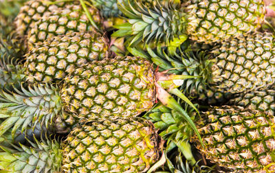 Full frame shot of bananas in market