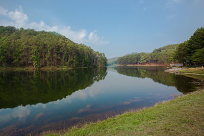 Scenic view of lake by trees against sky