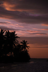 Silhouette palm trees on beach against sky at sunset