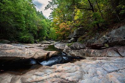 Stream flowing through rocks in forest