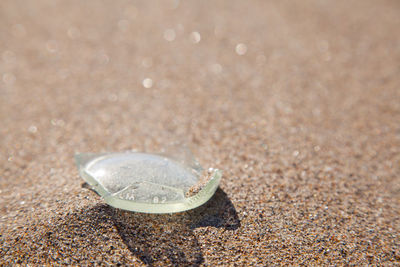 Close-up of broken glass on beach