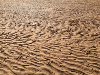 High angle view of footprints on sand at beach