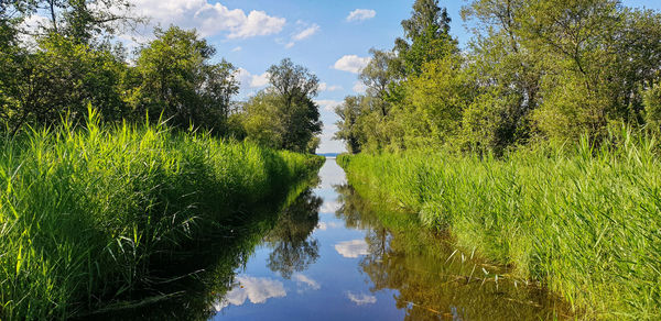 Panoramic shot of canal amidst trees against sky