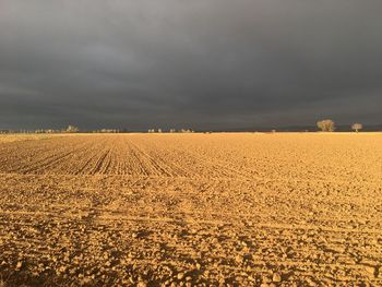 Scenic view of agricultural field against sky